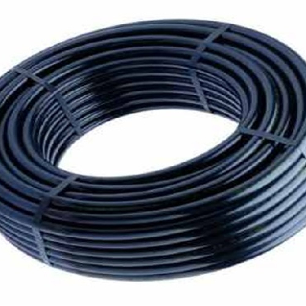 rollo-01861